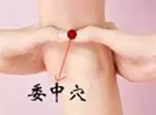 腰背部疼痛艾灸委中穴位图