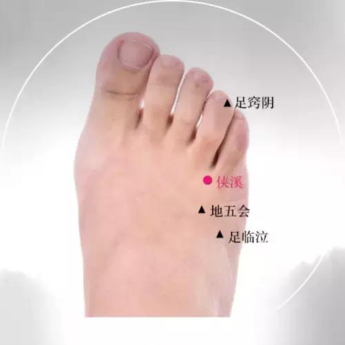 侠溪
