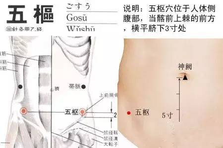 五枢穴:赤白带下\月经不调\少腹痛\便秘