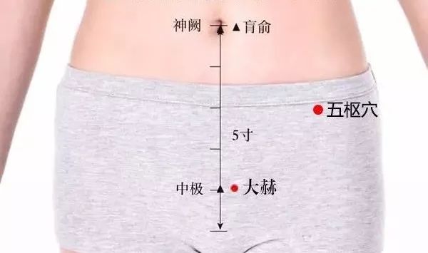 五枢穴:赤白带下\月经不调\少腹痛\便秘