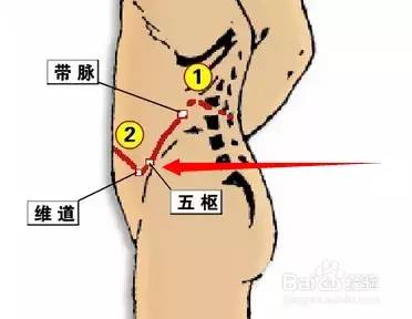 五枢穴:赤白带下\月经不调\少腹痛\便秘