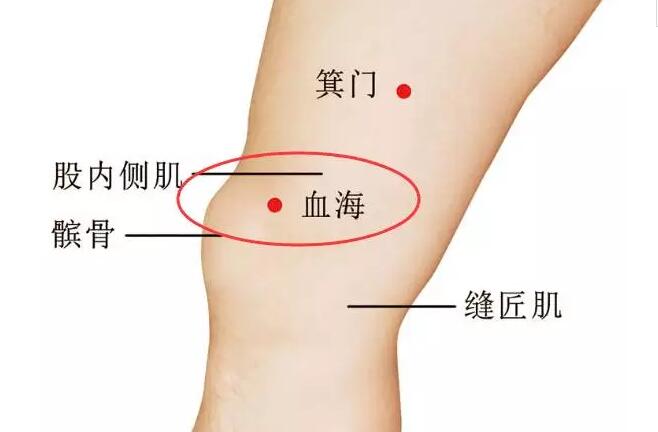 血海准确位置图和作用这么强,补气补血灸血海穴