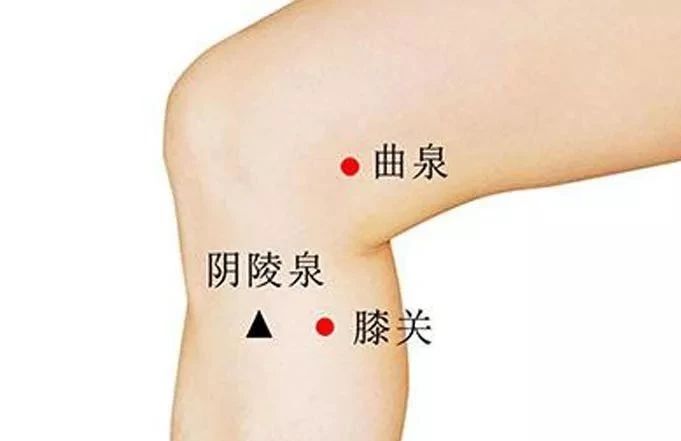 如何养肝护肝排毒艾灸部位图