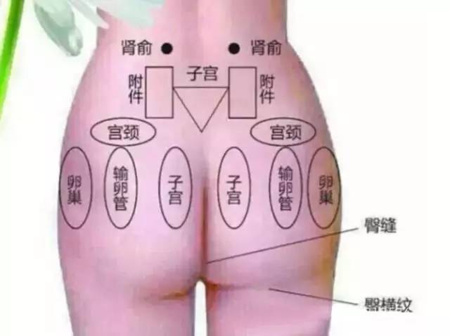 女性艾灸臀部的好处？看后震惊！