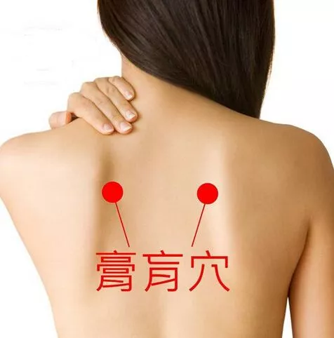 艾灸穴位图解_膏肓穴