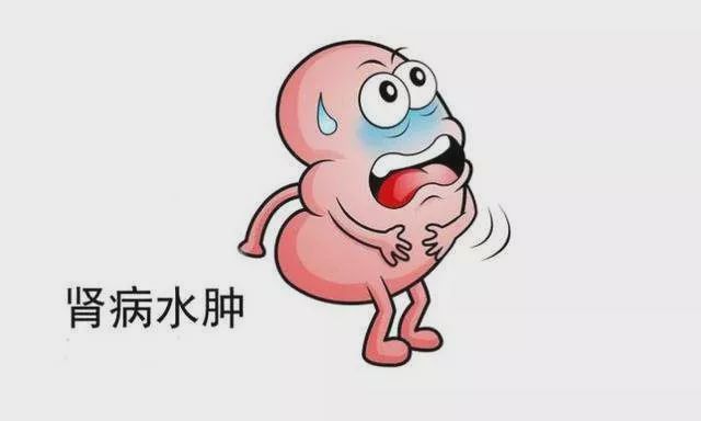 肾病怎样用艾灸调理