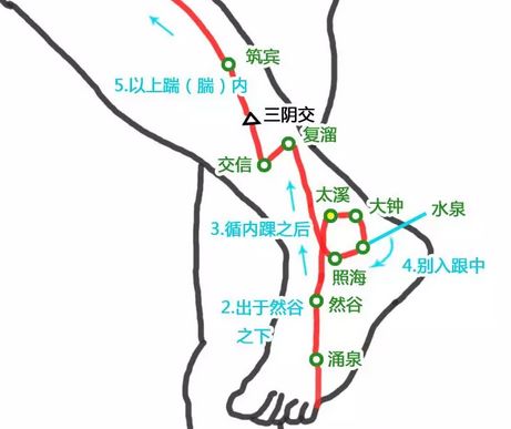 霜降养生艾灸保健穴