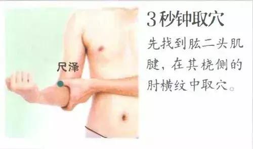 咳嗽老有痰怎么办,如何艾灸?