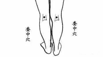 艾灸新手入门从这十个穴位开始
