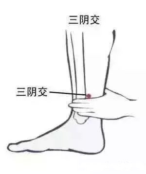 艾灸新手入门从这十个穴位开始
