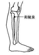 艾灸新手入门从这十个穴位开始