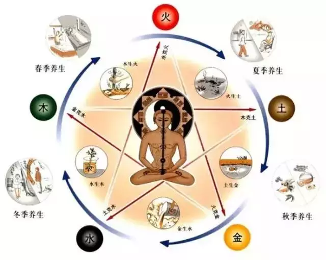 中篇第一章中医基础理论五行学说的含义和内容