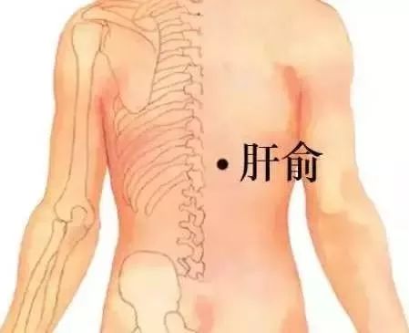 气血不足艾灸哪里图片