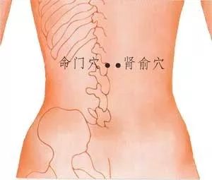 气血不足艾灸哪里图片