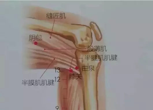 艾灸的作用和禁忌