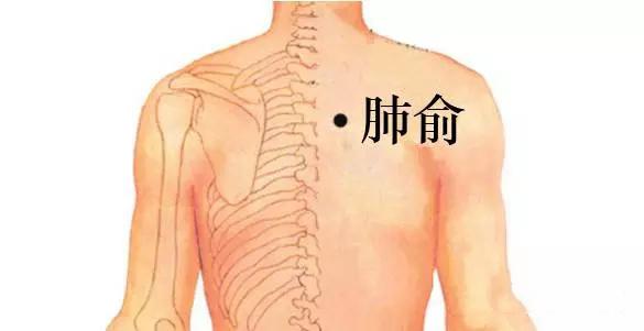 肺不好怎么调理艾灸哪些穴位