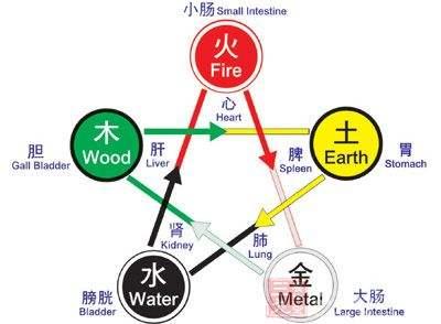 中篇第一章中医基础理论:六腑