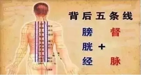 艾灸后背,人活百岁