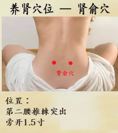 遗精如何治?艾柱灸中极曲骨!