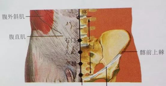 遗精如何治?艾柱灸中极曲骨!