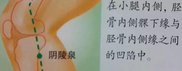 36个艾灸穴位绝穴,个个都实用!