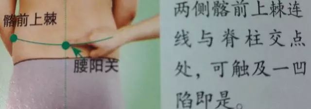 36个艾灸穴位绝穴,个个都实用!