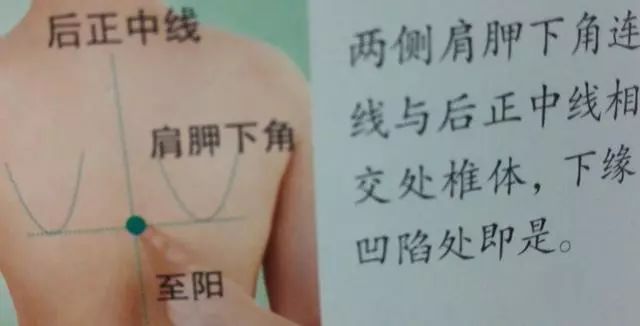 36个艾灸穴位绝穴,个个都实用!