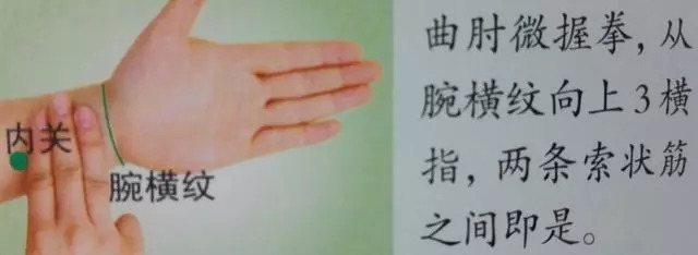 36个艾灸穴位绝穴,个个都实用!