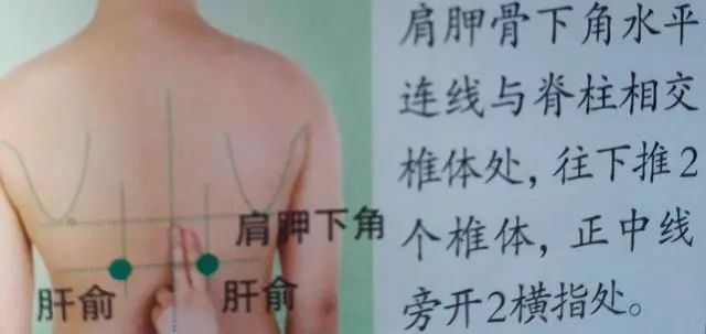 36个艾灸穴位绝穴,个个都实用!