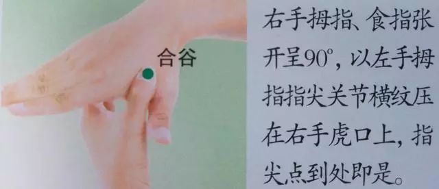 36个艾灸穴位绝穴,个个都实用!