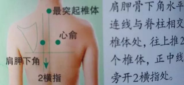 36个艾灸穴位绝穴,个个都实用!