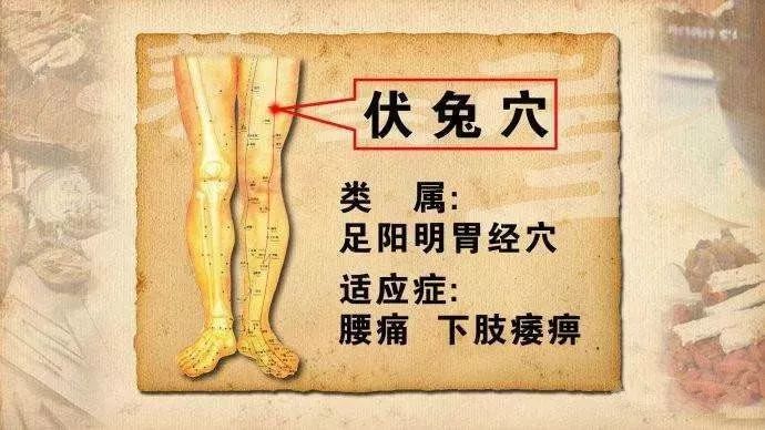 膝盖冷腿发凉艾灸伏兔穴