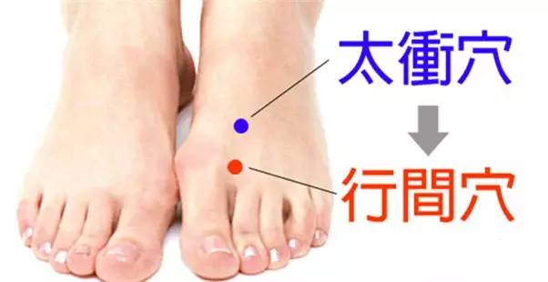 太冲穴