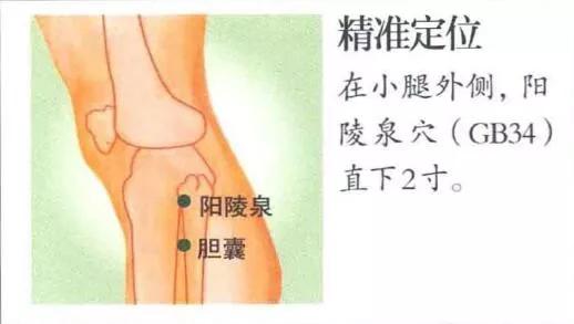 胆结石尿路结石食艾灸疗法