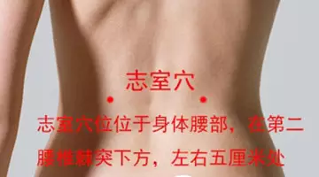大雪节气,艾灸助您保暖藏神!