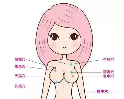 膻中穴位位置图