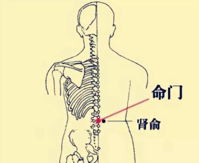 去湿气的小妙招,附艾灸穴位!