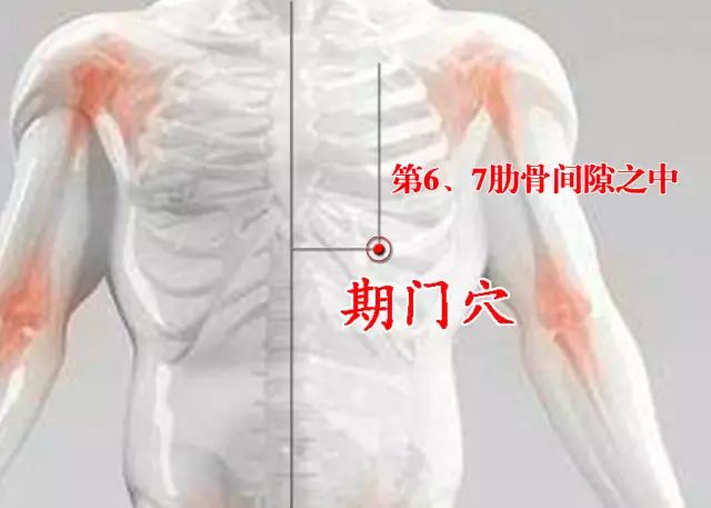 期门穴