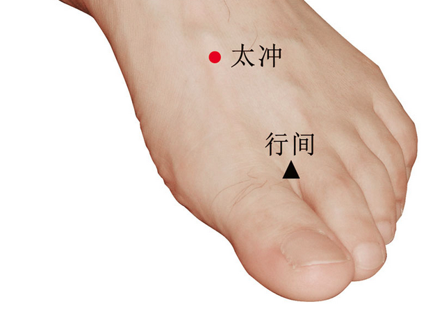 太冲穴