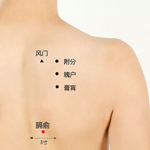 贫血怎么办?艾灸膈俞穴!