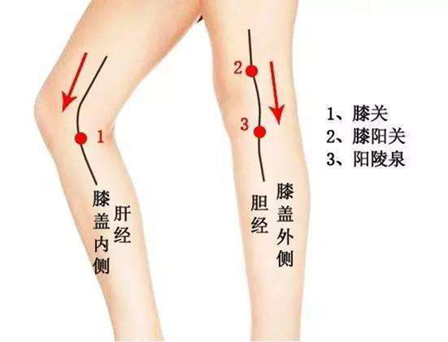 原发性高血压的艾灸疗法