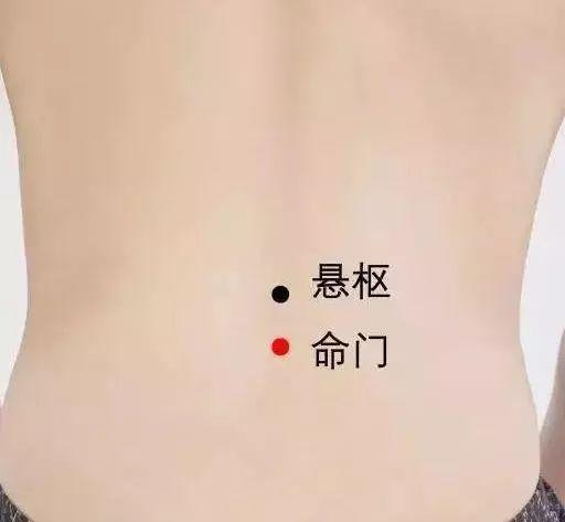督脉自带6个穴位,常按揉艾灸生命力更旺盛!