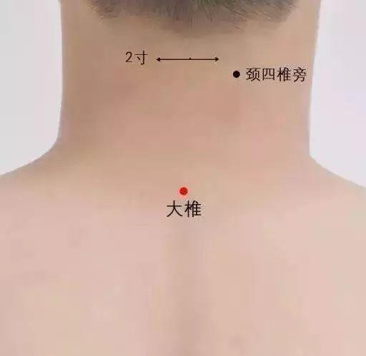 督脉自带6个穴位,常按揉艾灸生命力更旺盛!