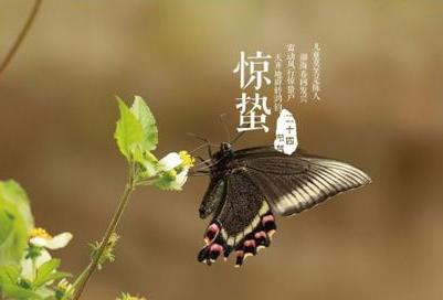 春天艾灸养生保健的穴位