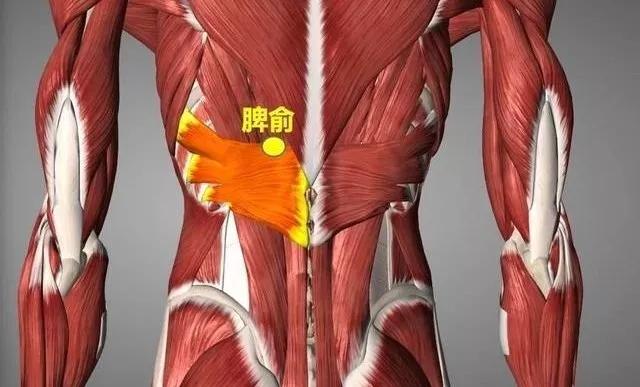 程凯:针对新冠肺炎的艾灸防护方案