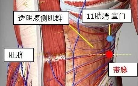 程凯:针对新冠肺炎的艾灸防护方案