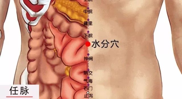 艾灸这几个穴位祛斑淡皱调眼袋,胜过敷面膜!