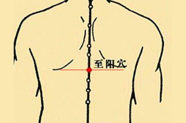 艾灸的作用和禁忌