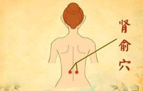 肾俞