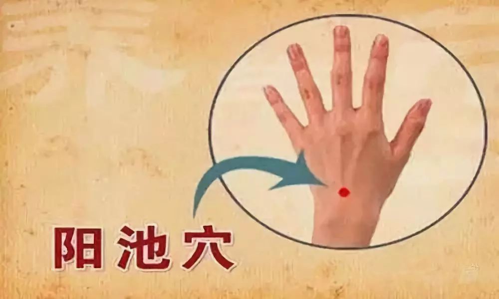 气血不足手脚冰凉开始艾灸,不然又迟了!